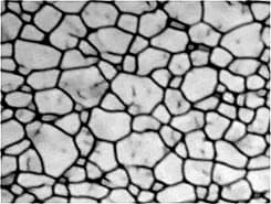 Analysis modules — Grain size through coatings