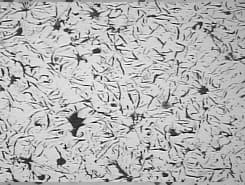 Capture, masks, and export — Cameras and batch