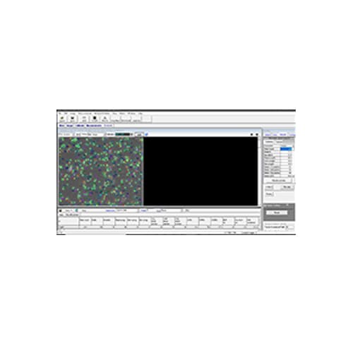 Concentration — Millions per ml